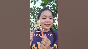 kéo cắt cành Japan cộng lực, lưỡi thép sk5 bền và sắc bén #keosk5 #bonsai #keonhat