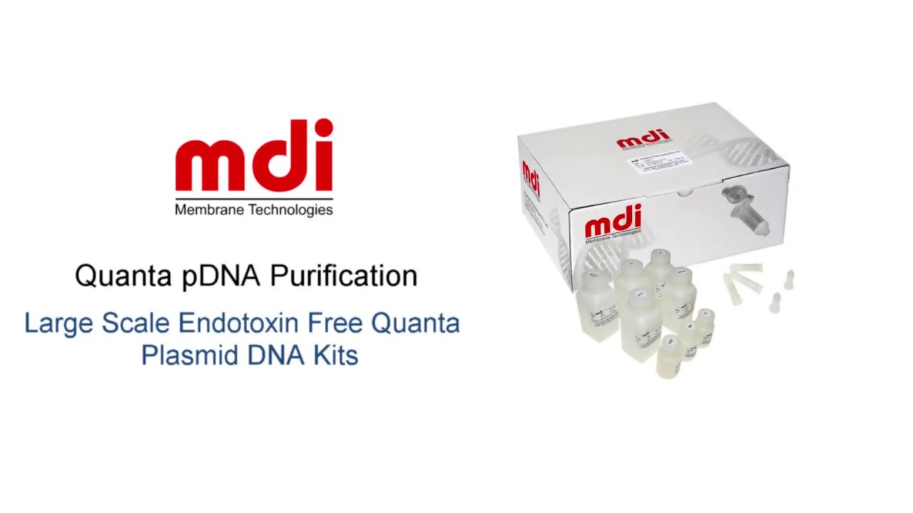 Large Scale Endotoxin Free Quanta Plasmid DNA Kits YouTube