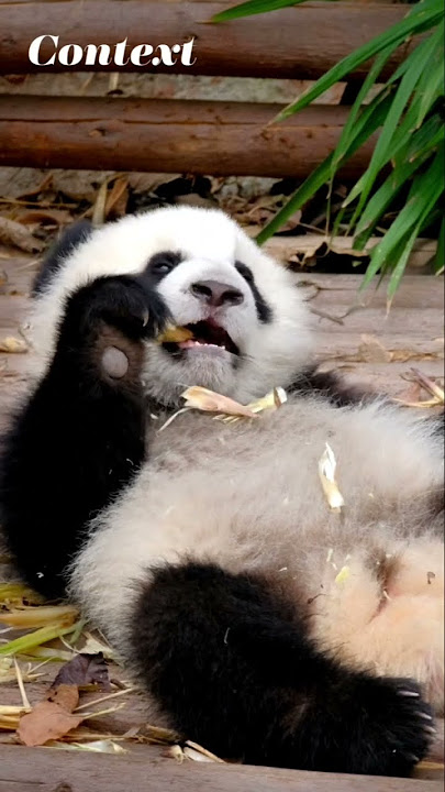 Men kepkamga kamera ornatdim va jinsiy aloqani onlayn suratga olaman.