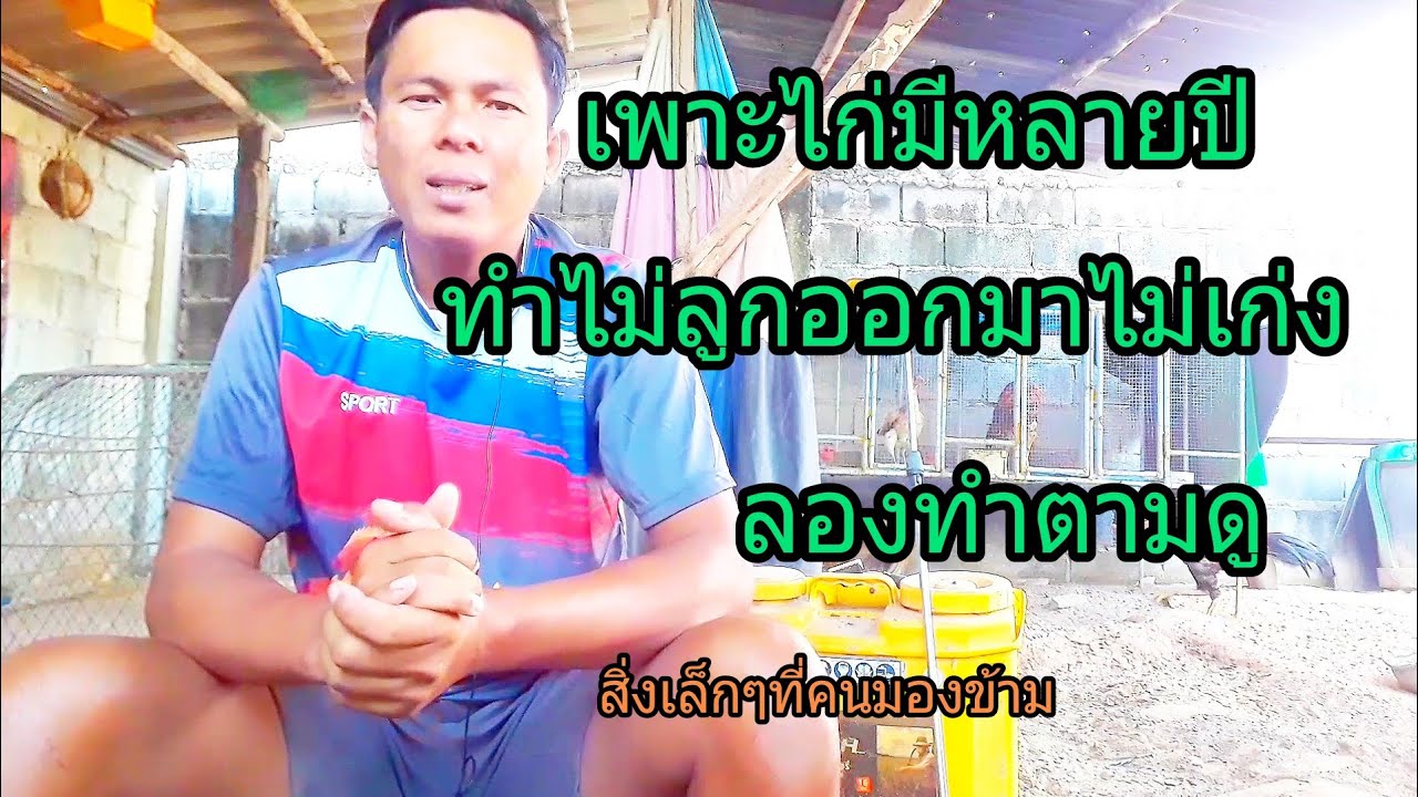 เพาะไก่มาหลายปีทำไมไม่ประสบผลสำเร็จ ลองฟังดู