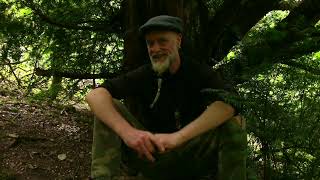 More Tree Faerie Activity - Elementals, Orbs and a Dryad around the Yew by  Musings From The Woodlands 597 views 10 months ago 3 minutes, 6 seconds