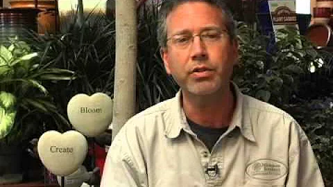 Jeff Sutter
