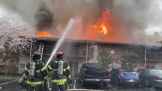 "Wildfires in America 2025 🔥 | Causes, Impacts & How to Stay Safe"
