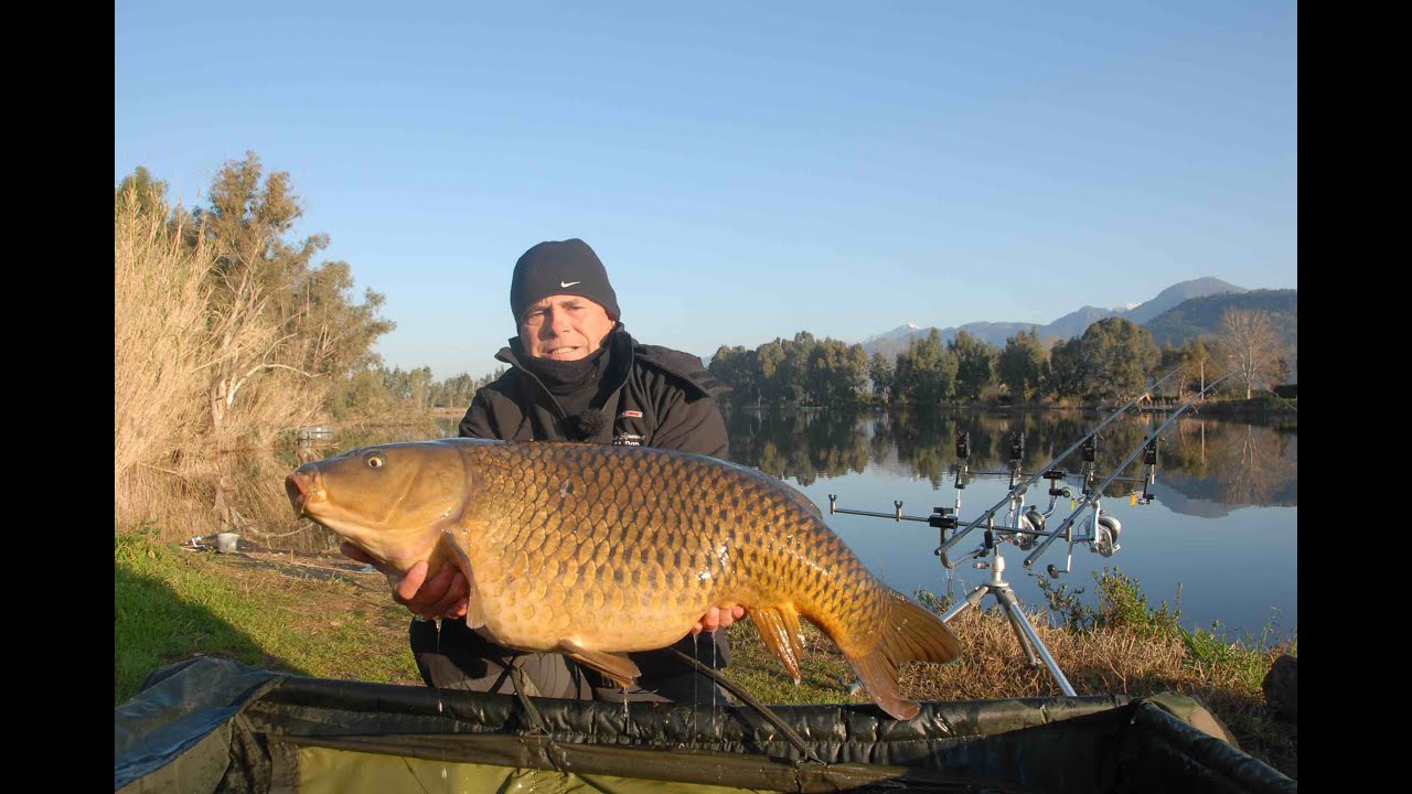 Il mio carpfishing.