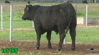 Lot 169 Rennylea NOR25W657