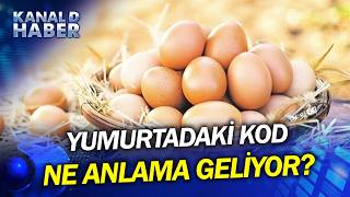 Gezen Tavuk Diye Aldı, Kümes Yumurtası Çıktı! Paketteki Bilgiyle Kabuktaki Kodu Karşılaştırın
