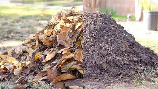 Turn Leaves into FREE Organic Compost