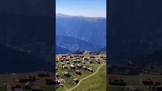 Turnalu Yaylası Karaçam Trabzon Doğa Ile Iç Içe Yayla Hayatı Temiz Hava Huzur Dolu