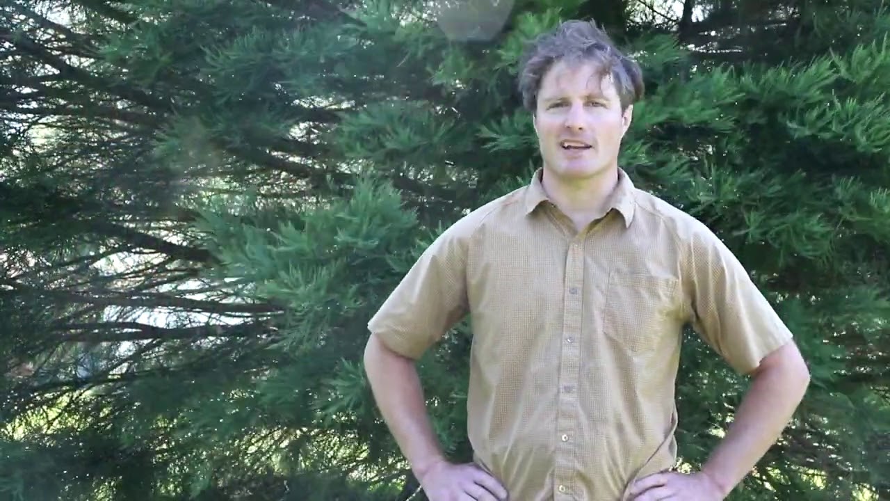 Whatcom County Virtual Farm Tour