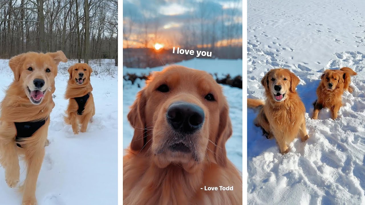 Мы отморозили себе задницы!