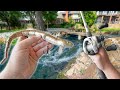 Giant lures vs tiny urban ponds