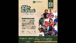 SB & Friends  Sonolo Podcast E37