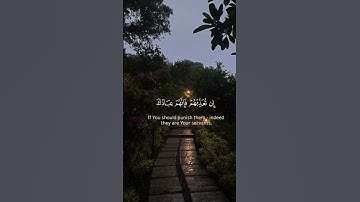﴿إِن تُعَذِّبهُم فَإِنَّهُم عِبادُكَ﴾القارئ محمد الغزالي