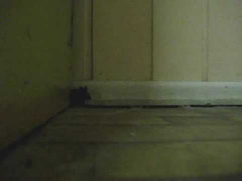 Rat (Solid Snake),  MGS Theme - Blast Furnace - Escape