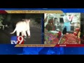 Woman Delivers Child in Ambulance Amidst 12 Lions in Gir Forest