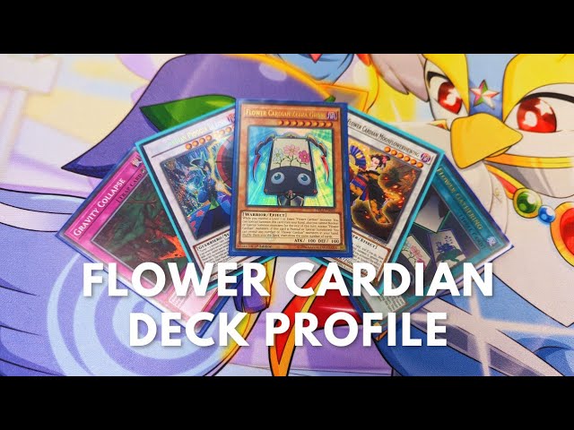 Competitive Flower Cardian deck profile TCG August 2023 Yugioh Competitive Flower Cardian deck profile TCG August 2023 Yugioh