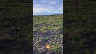 1/8th of an acre plot for sale in Kantafu In Kangundo #recommended #realestate #affordable #farming