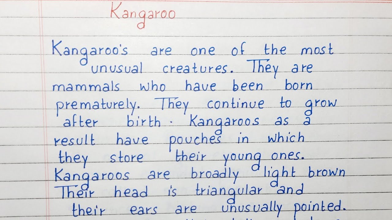 write an essay kangaroo