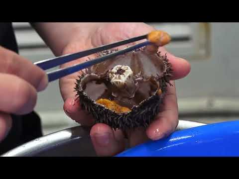 Masterchef | Food Japanese - Sea Urchin & Scallops BBQ JAPAN | Fimled By SamSung S9+