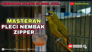 MASTERAN PLECI NEMBAK ZIPPER SAMBUNG KENARI PANJANG || MASTERAN PALING AMPUH