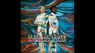 Blue Lab Beats ft. Emmavie - Don't Let It Get Away - YouTube