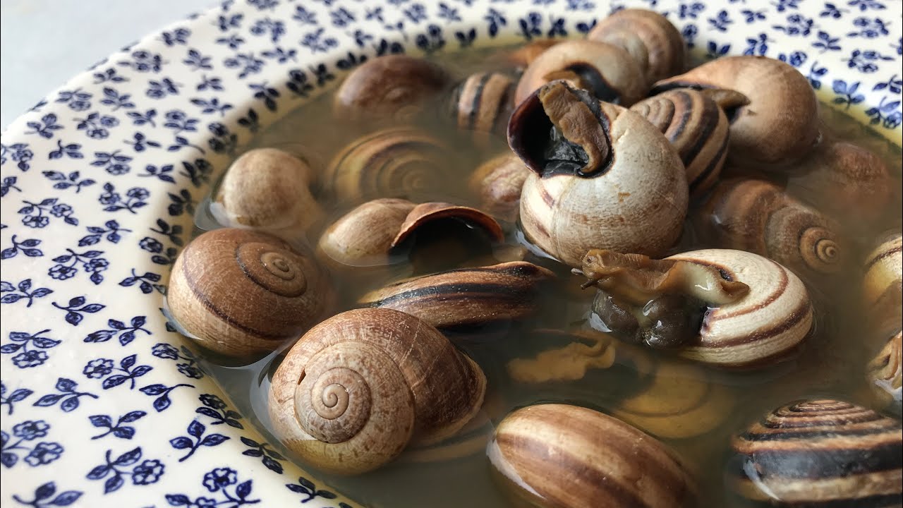 Caracoles al caldillo estilo Riogordo