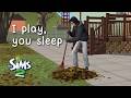 relax amp fall asleep with the sims 2 in the background relax amp fall asleep with the sims 2 in the background