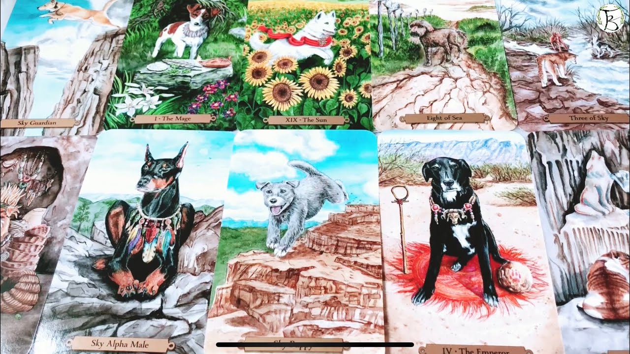 BẠN CỦA 1 NĂM SAU 💚🍀🌿🧚‍♂️ Chọn 1 Tụ Bài 🌙