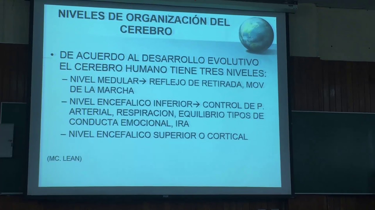 2. La Neurona