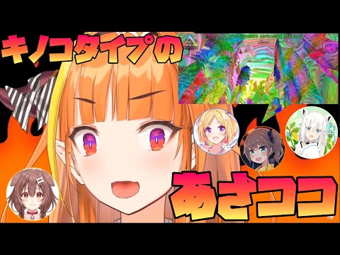 【ARK】キノコタイプのあさココをキメる！～白上フブキ/夏色まつり/アキロゼ/戌神ころね～【切り抜き/ホロライブ】