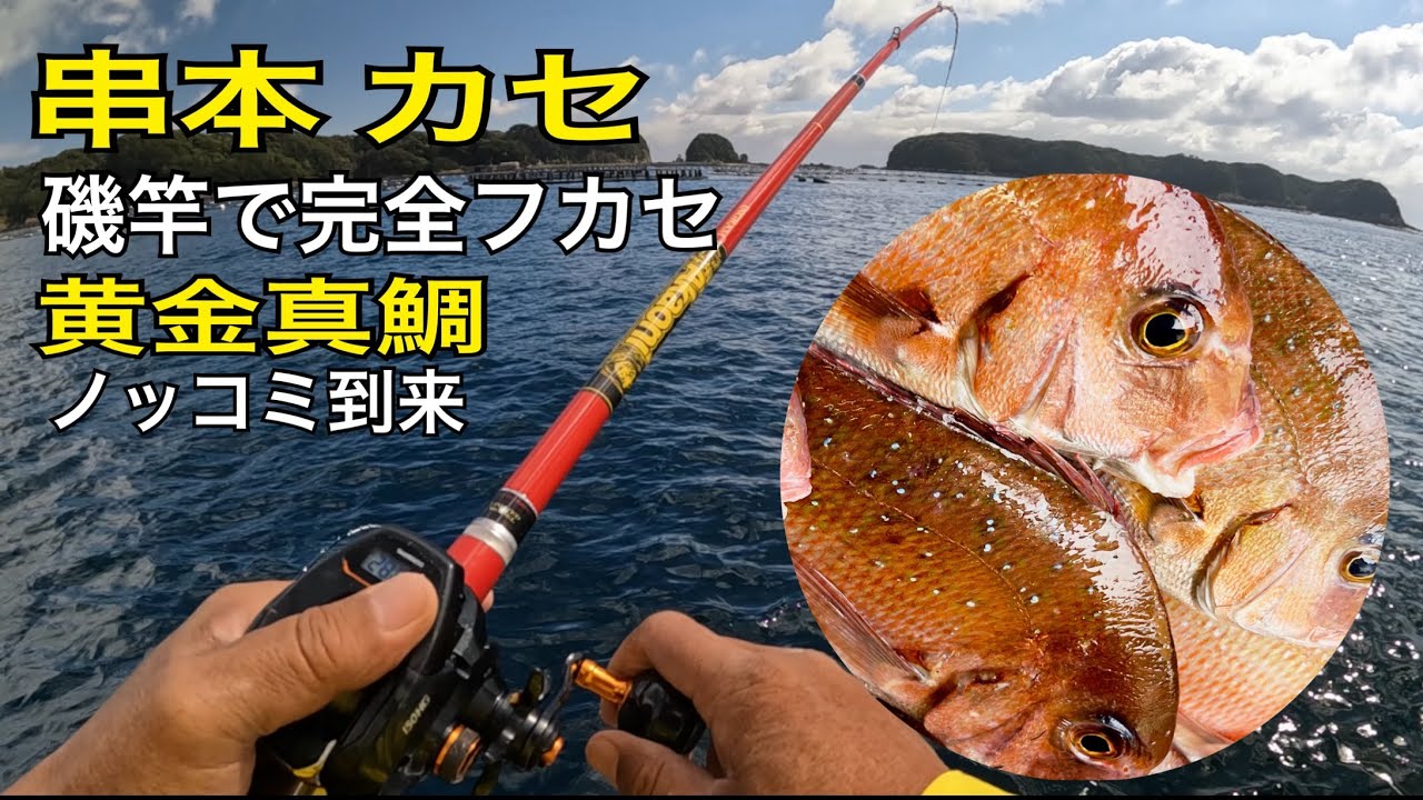 串本カセの黄金真鯛ノッコミ開始！