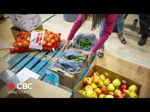 CBC B.C.'s Food Bank Day returns with virtual events