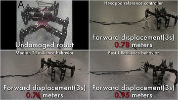 Several damage recovery scenarios with the T-Resilience Algorithm