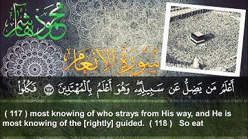 الشيخ محمود هاشم -    سورة الأنعام من الآية 111 إلى الآية 126
