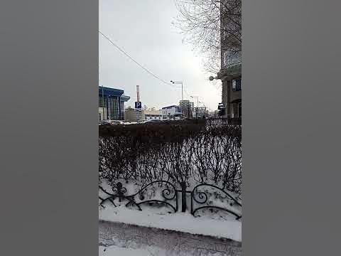 Тюменский цирк - YouTube