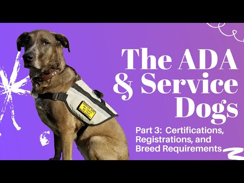 Video: Service Dog Supplies & Registration