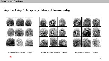 Fingerprint Recognition