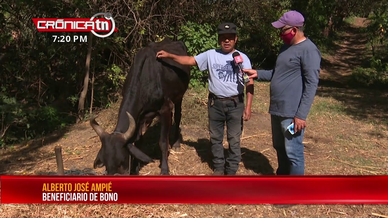 Impacto positivo del programa Hambre Cero en Nicaragua