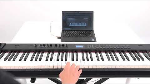 “Connecting Your Instrument to a Windows PC (WM-1D)” Roland WM-1/WM-1D #04