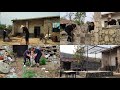 LEAVING CITY Renovate the dilapidated yard and rent an old house || Rural Free Life