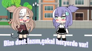 Bize Dost Lazım Çakal Her Yerde Var