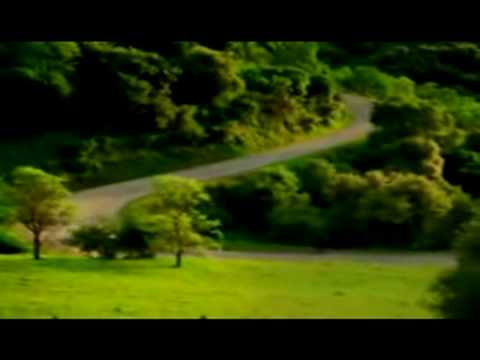 Dr. Albert Bartlett And The Dangers Of Overpopulation