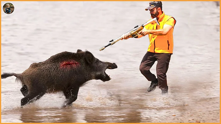 How Millions of Wild Boars and Invasive Lynx Are Controlled by American Farmers | Invasive Species