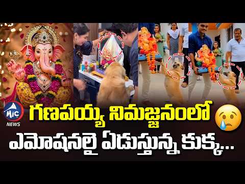 గణపయ్య నిమజ్జనంలో ఏడుస్తున్న కుక్క..Dog Crying In Ganesh Nimarjanam | Mic TV News