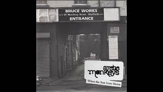 Arctic Monkeys - When The Sun Goes Down