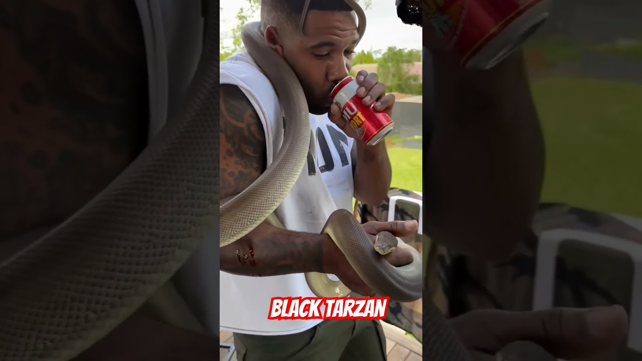 Black Tarzan Snake Bite Animals Reptiles Funny Cobra Play Painless Pet Massage Mindset 1