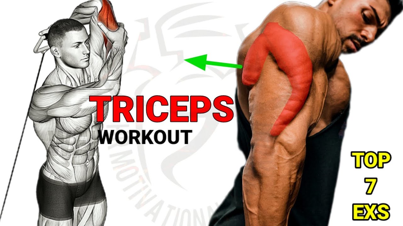 How To Build Your Triceps Workout Fast(7 Effective Exercises) - YouTube