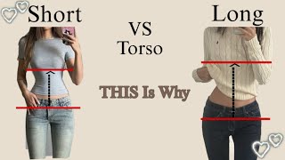 Your Torso Length Is Ruining Your Outfits