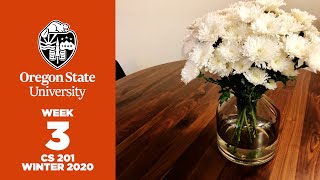 OSU CS 201 Week 3