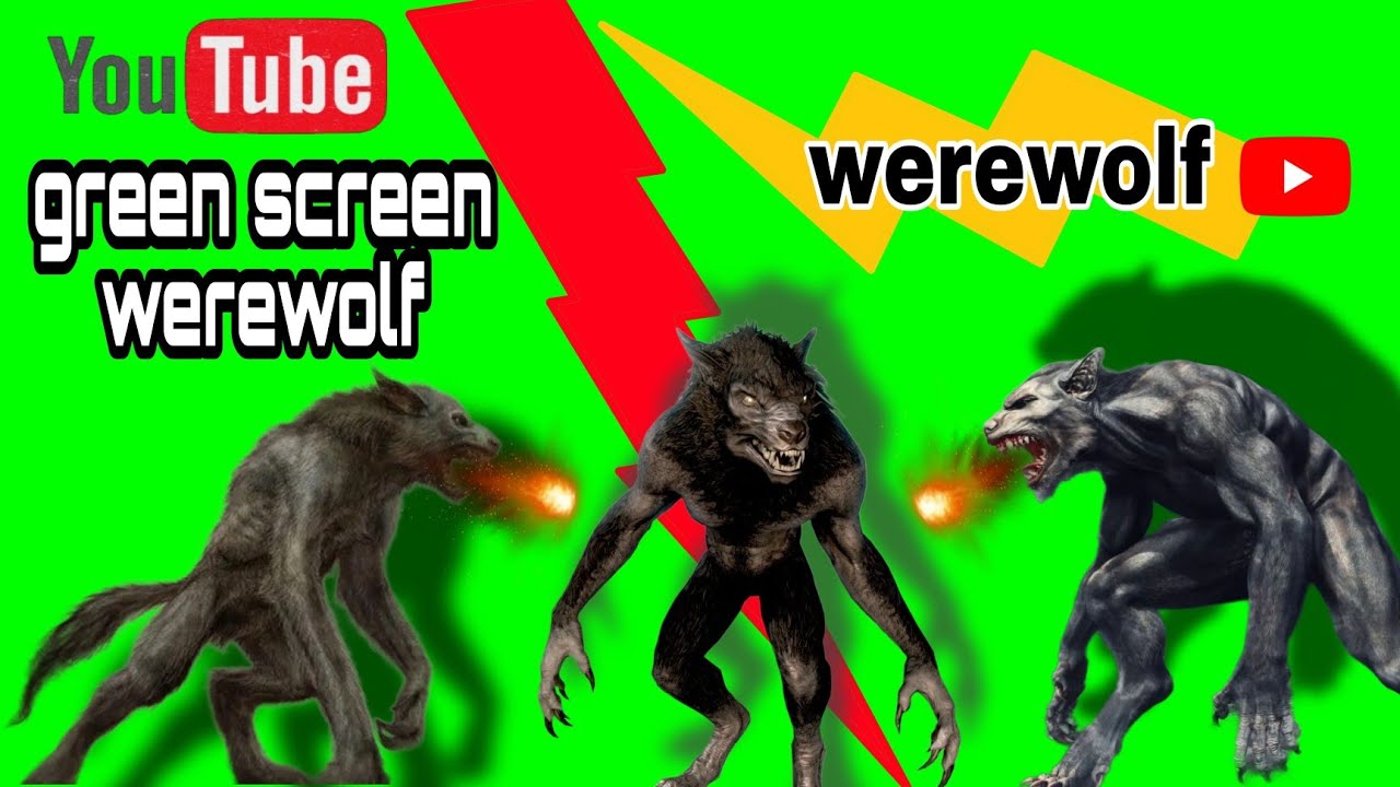 werewolf video!Green Screen werewolf video!Green Screen Animal video! YouTube